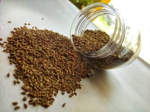 Ajwain ke fayde