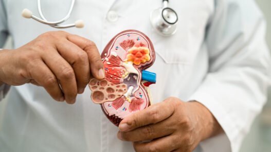 kidney disease causes in hindi